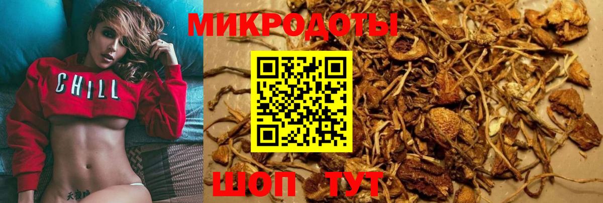 Можайск  Галлюциногенные грибы прущие грибы  Вход с VPN 